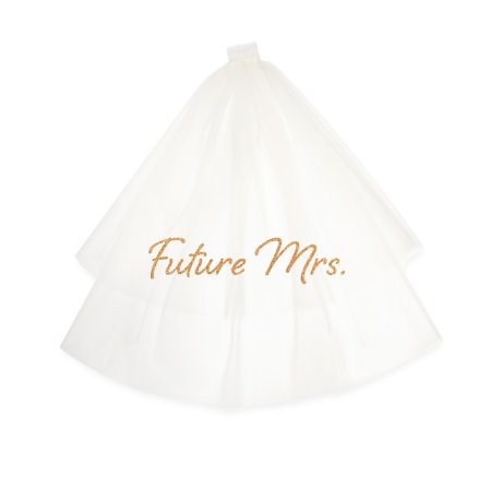 Bachelorette Party Bridal Veil - Future Mrs.