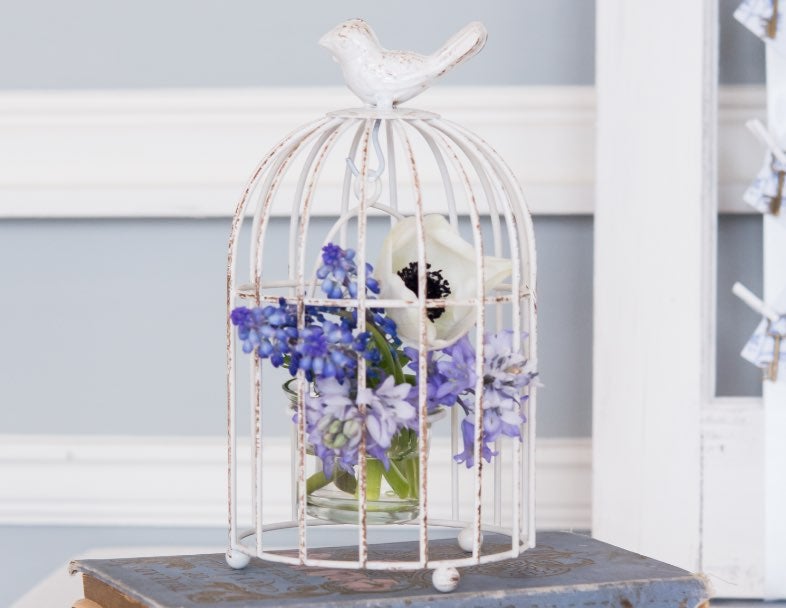 Shop Birdcages