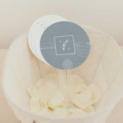 Program Hand Fans